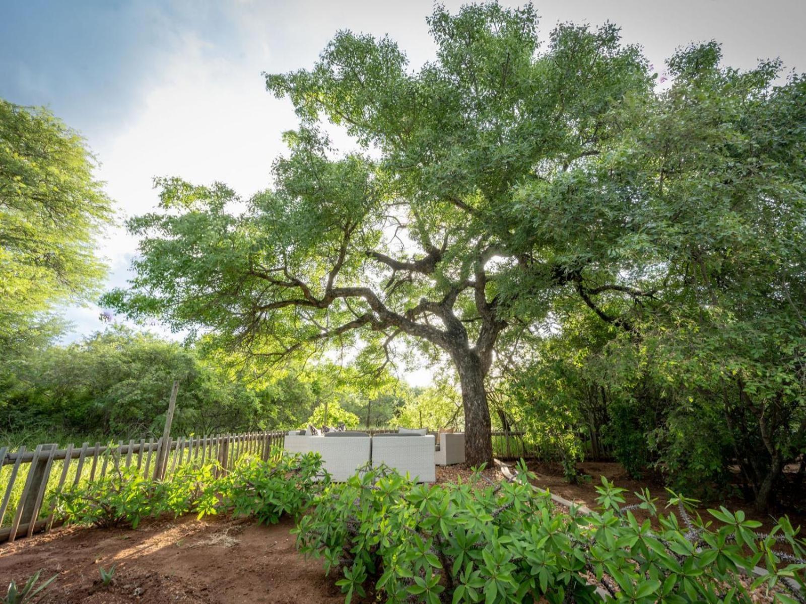 Ekhaya Bush Hoedspruit